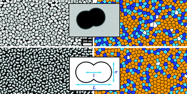 Graphical abstract: Phase behaviour in 2D assemblies of dumbbell-shaped colloids generated under geometrical confinement