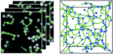 Graphical abstract: ArGSLab: a tool for analyzing experimental or simulated particle networks