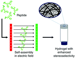 Graphical abstract: Electric field modulated peptide based hydrogel nanocatalysts