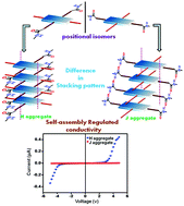 Graphical abstract: Tuning of the optoelectronic properties of peptide-appended core-substituted naphthalenediimides: the role of self-assembly of two positional isomers