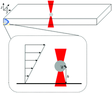 Graphical abstract: Effect of shear flow on the hydrodynamic drag force of a spherical particle near a wall evaluated using optical tweezers and microfluidics