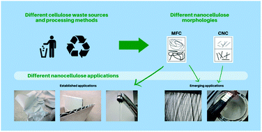 Graphical abstract: Micro- and nanocelluloses from non-wood waste sources; processes and use in industrial applications