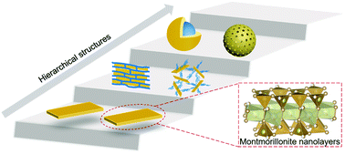 Graphical abstract: Inclusion of organic species in exfoliated montmorillonite nanolayers towards hierarchical functional inorganic–organic nanostructures