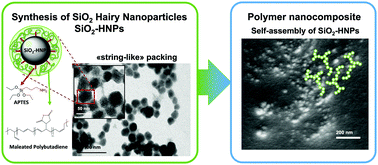 Graphical abstract: Silica hairy nanoparticles: a promising material for self-assembling processes