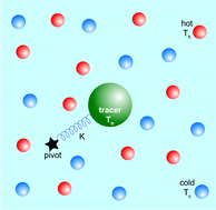 Graphical abstract: Tethered tracer in a mixture of hot and cold Brownian particles: can activity pacify fluctuations?