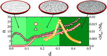 Graphical abstract: Evolution of anisotropic crack patterns in shrinking material layers