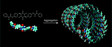 Graphical abstract: Tyrosine-based photoluminescent diketopiperazine supramolecular aggregates