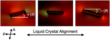 Graphical abstract: Rods in a lyotropic chromonic liquid crystal: emergence of chirality, symmetry-breaking alignment, and caged angular diffusion