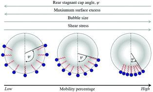 Graphical abstract: Can small air bubbles probe very low frother concentration faster?