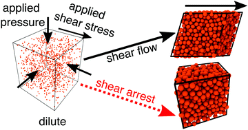 Graphical abstract: Flow and arrest in stressed granular materials
