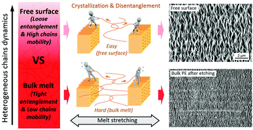 Graphical abstract: Lamellar crystal-dominated surfaces of polymer films achieved via melt stretching-induced free surface crystallization