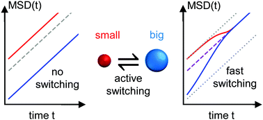 Graphical abstract: Active interaction switching controls the dynamic heterogeneity of soft colloidal dispersions