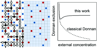 Graphical abstract: Increased Donnan exclusion in charged polymer networks at high salt concentrations