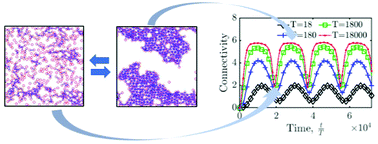 Graphical abstract: Sustained order–disorder transitions in a model colloidal system driven by rhythmic crosslinking
