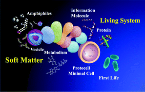 Graphical abstract: From vesicles toward protocells and minimal cells