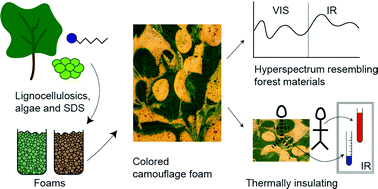 Graphical abstract: Microalgae Chlorella vulgaris and kraft lignin stabilized cellulosic wet foams for camouflage