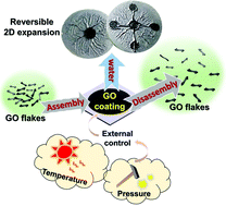 Graphical abstract: Self-assembly of graphene oxide flakes for smart and multifunctional coating with reversible formation of wrinkling patterns