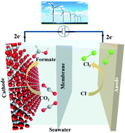 Graphical abstract: Highly efficient CO2 electrolysis within a wide operation window using octahedral tin oxide single crystals