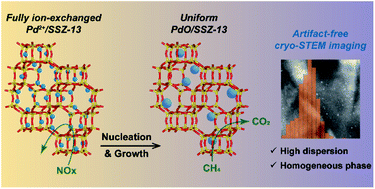 Graphical abstract: Uniform synthesis of palladium species confined in a small-pore zeolite via full ion-exchange investigated by cryogenic electron microscopy