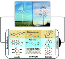 Graphical abstract: Organic electrode materials for non-aqueous, aqueous, and all-solid-state Na-ion batteries