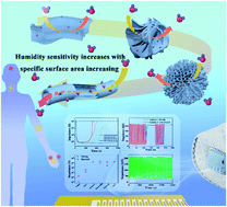 Graphical abstract: Controllable construction of Ho2O3 nanomaterials with different dimensions (1D, 2D, and 3D) for real-time monitoring human breathing and body surface humidity detection