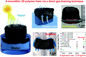 Graphical abstract: Design of monolithic closed-cell polymer foams via controlled gas-foaming for high-performance solar-driven interfacial evaporation