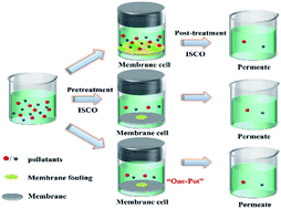 Graphical abstract: In situ chemical oxidation: peroxide or persulfate coupled with membrane technology for wastewater treatment