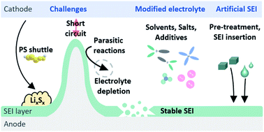 Graphical abstract: The lithium metal anode in Li–S batteries: challenges and recent progress