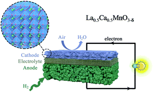 Graphical abstract: Tailoring a LaMnO3 cathode for proton-conducting solid oxide fuel cells: integration of high performance and excellent stability