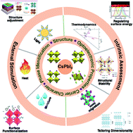 Graphical abstract: Stability of the CsPbI3 perovskite: from fundamentals to improvements
