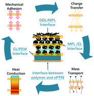 Graphical abstract: Understanding the functions and modifications of interfaces in membrane electrode assemblies of proton exchange membrane fuel cells