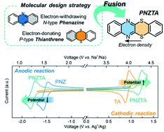 Graphical abstract: A p–n fusion strategy to design bipolar organic materials for high-energy-density symmetric batteries