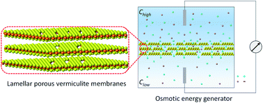 Graphical abstract: Lamellar porous vermiculite membranes for boosting nanofluidic osmotic energy conversion