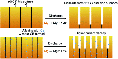 Graphical abstract: Tuning the performance of a Mg negative electrode through grain boundaries and alloying toward the realization of Mg batteries