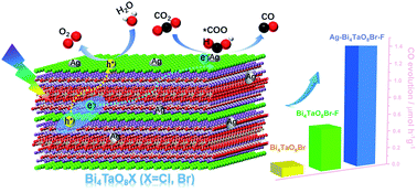Graphical abstract: Achieving selective photocatalytic CO2 reduction to CO on bismuth tantalum oxyhalogen nanoplates