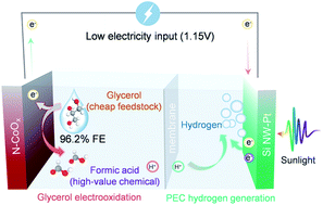 Graphical abstract: Solar-assisted co-electrolysis of glycerol and water for concurrent production of formic acid and hydrogen