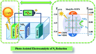 Graphical abstract: Photo-assisted high performance single atom electrocatalysis of the N2 reduction reaction by a Mo-embedded covalent organic framework