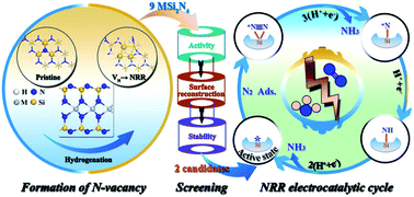Graphical abstract: Screening of effective NRR electrocatalysts among the Si-based MSi2N4 (M = Ti, Zr, Hf, V, Nb, Ta, Cr, Mo, and W) monolayers