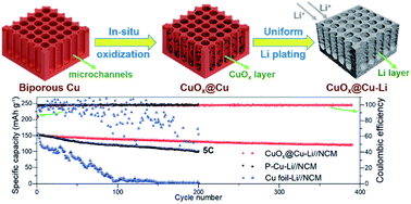 Graphical abstract: In situ coating of a lithiophilic interphase on a biporous Cu scaffold with vertical microchannels for dendrite-free Li metal batteries
