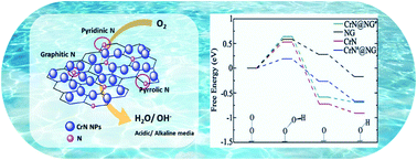 Graphical abstract: Mechanistic study on nitrogen-doped graphitic carbon-reinforced chromium nitride as a durable electrocatalyst for oxygen reduction