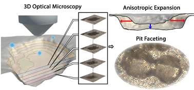 Graphical abstract: Lithium stripping: anisotropic evolution and faceting of pits revealed by operando 3-D microscopy