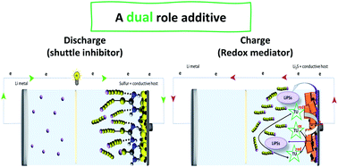 Graphical abstract: A dual-role electrolyte additive for simultaneous polysulfide shuttle inhibition and redox mediation in sulfur batteries