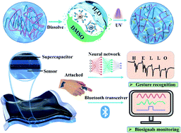 Graphical abstract: Environment stable ionic organohydrogel as a self-powered integrated system for wearable electronics