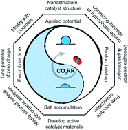 Graphical abstract: The role of electrode wettability in electrochemical reduction of carbon dioxide