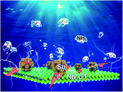 Graphical abstract: Constructing an electron-rich interface over an Sb/Nb2CTx–MXene heterojunction for enhanced electrocatalytic nitrogen reduction