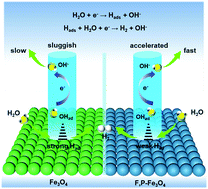 Graphical abstract: F, P double-doped Fe3O4 with abundant defect sites for efficient hydrogen evolution at high current density
