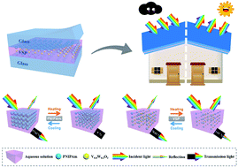 Graphical abstract: Energy-efficient smart window based on a thermochromic microgel with ultrahigh visible transparency and infrared transmittance modulation