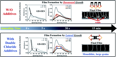 Graphical abstract: Control of the quality and homogeneity of halide perovskites by mixed-chloride additives upon the film formation process