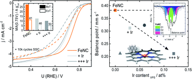 Graphical abstract: Impact of Ir modification on the durability of FeNC catalysts under start-up and shutdown cycle conditions