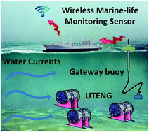 Graphical abstract: Self-powered wireless sensing platform for monitoring marine life based on harvesting hydrokinetic energy of water currents